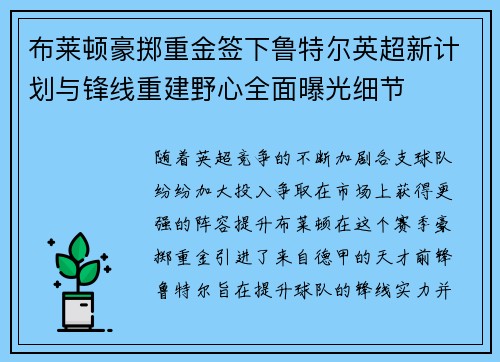 布莱顿豪掷重金签下鲁特尔英超新计划与锋线重建野心全面曝光细节